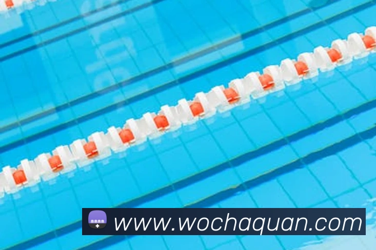 国际pg平台生态图